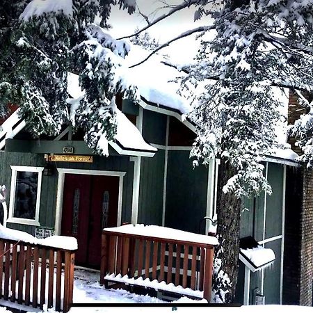 Hallelujah Forest Big Bear Lake Exterior foto